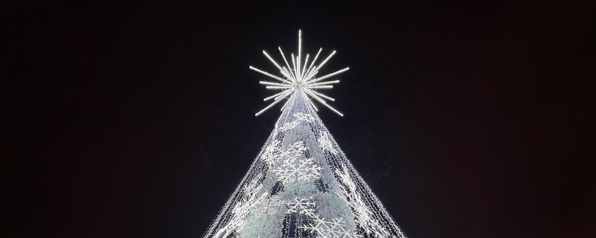 Рождественская елка на Кафедральной площади в Вильнюсе - Sputnik Lietuva, 1920, 30.11.2021