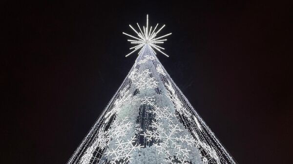 Рождественская елка на Кафедральной площади в Вильнюсе - Sputnik Литва