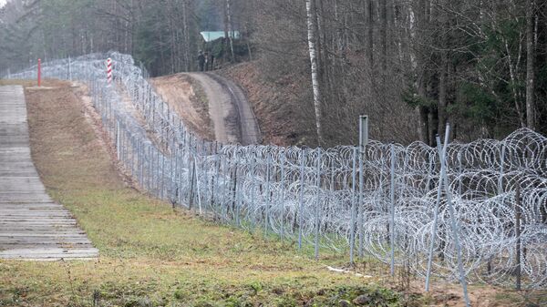 Забор и приграничные столбы на границе Польши и Белоруссии - Sputnik Литва