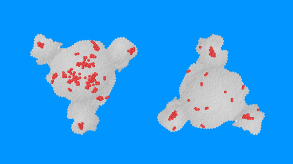 Koronaviruso SARS-CoV-2 padermė omikron - Sputnik Lietuva