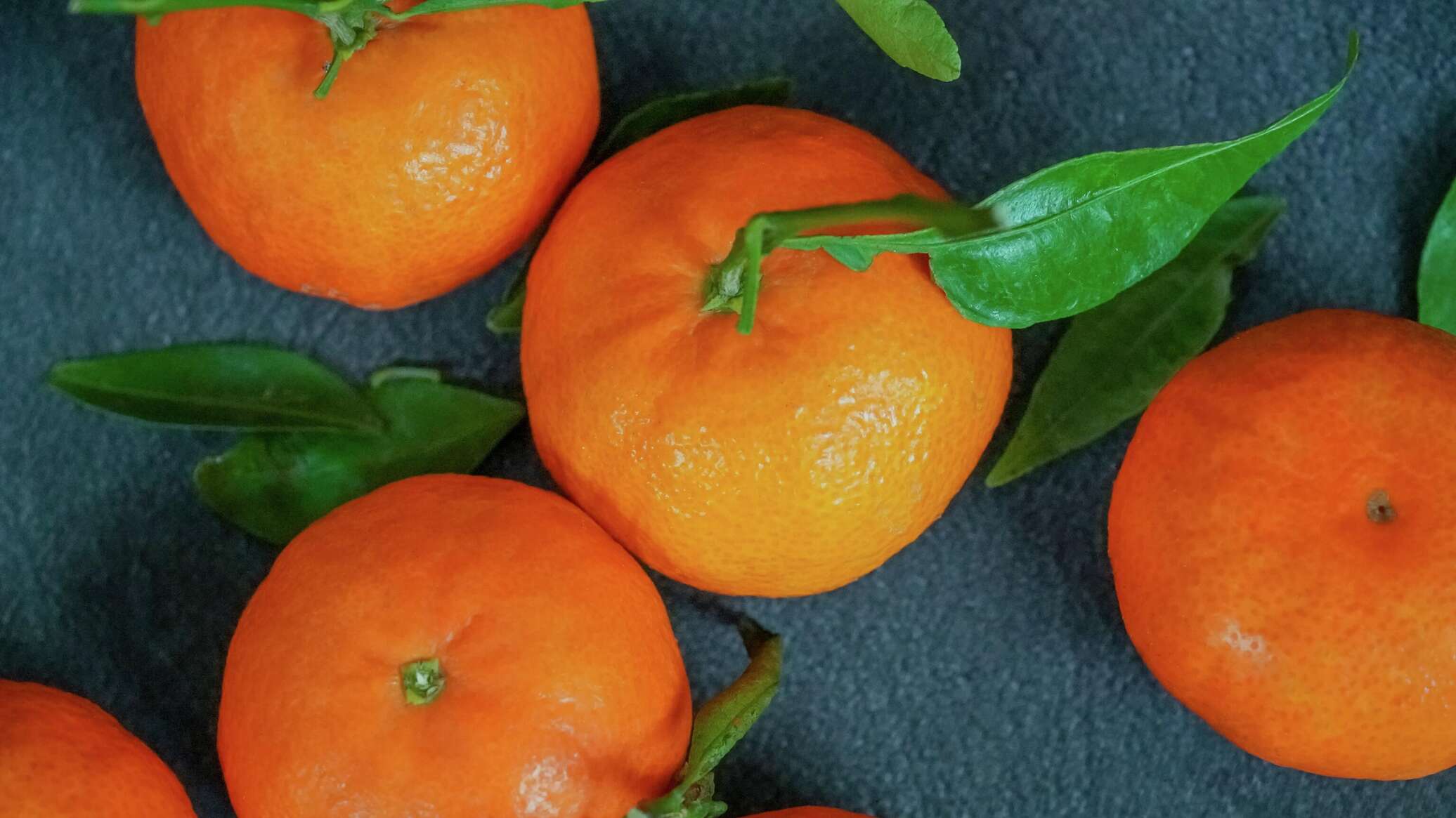 14 бойлы. Мандарин 14. Мандарин 14. Остров чеджу мандарины сады. Сочный мандарин.