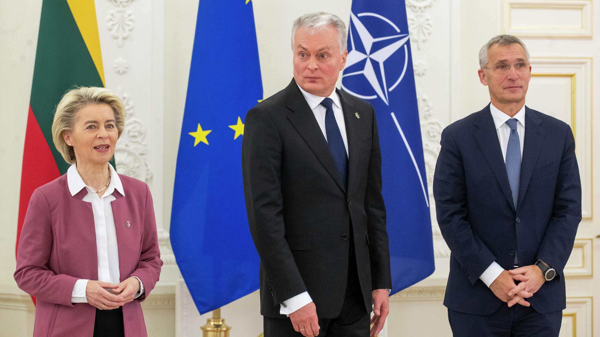 представитель в литве