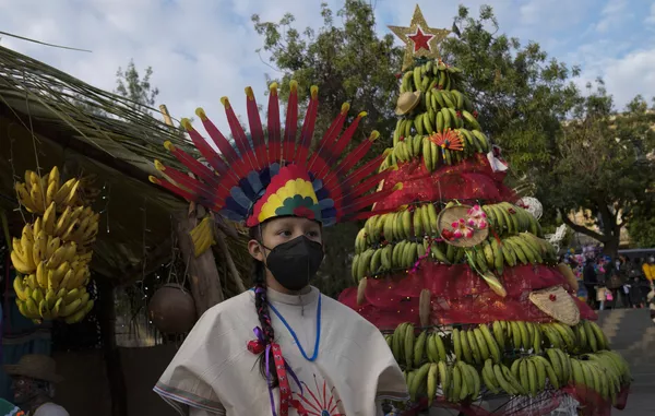 Kalėdinės eglės, pagamintos iš bananų, įžiebimo ceremonija La Pase, Bolivijoje. Kalėdinės eglės, pagamintos iš bananų, įžiebimo ceremonija La Pase, Bolivijoje. - Sputnik Lietuva