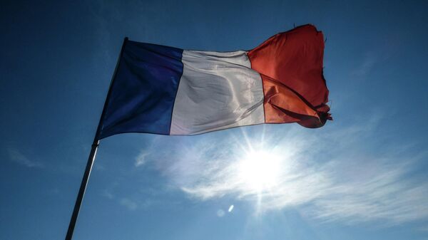 Флаг Франции, архивное фото - Sputnik Lietuva