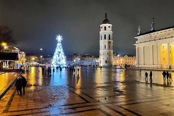 На Кафедральной площади по традиции установлена главная рождественская ель в Вильнюсе. - Sputnik Литва