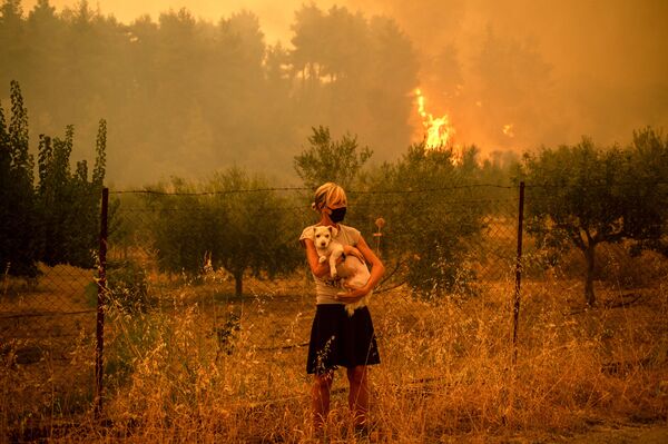 Moteris rankose laiko šunį, kai miškų gaisrai artėjo prie Pefki kaimo Evijos (Eubojos) saloje, antroje pagal dydį Graikijos saloje, 2021 m. rugpjūčio 8 d. – šimtai Graikijos ugniagesių rugpjūčio 8 d. desperatiškai kovojo, siekdami suvaldyti laukinius gaisrus saloje. Liepsnos prarijo didžiulius pušyno plotus, sugriovė namus ir privertė turistus bei vietinius bėgti. Graikija ir Turkija beveik dvi savaites kovojo su niokojančiais gaisrais, kilusiais dėl didžiausios karščio bangos per pastaruosius dešimtmečius, kurią ekspertai siejo su klimato kaita. - Sputnik Lietuva