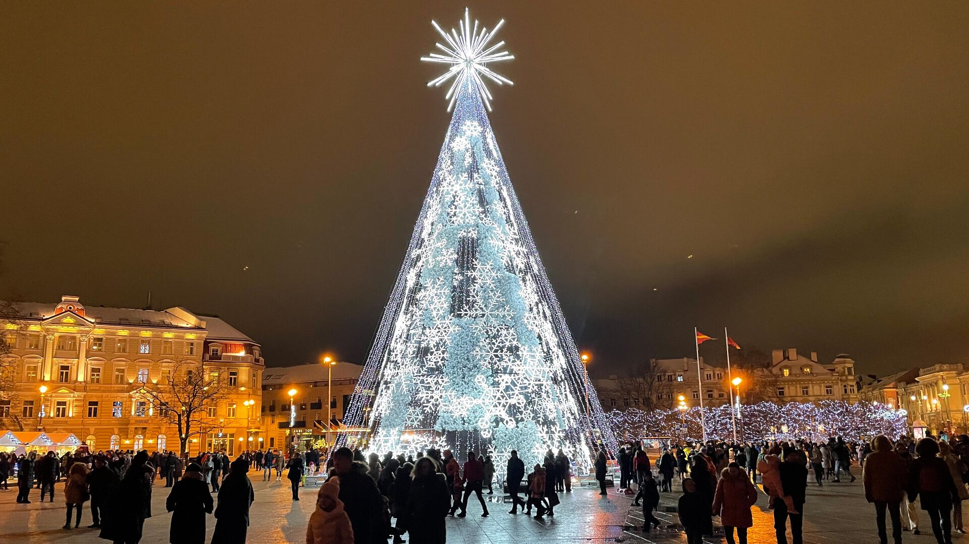 Рождественская елка на Кафедральной площади в Вильнюсе - Sputnik Литва, 1920, 28.12.2021