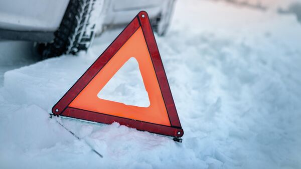 Знак аварийной остановки на зимней дороге, архивное фото - Sputnik Lietuva