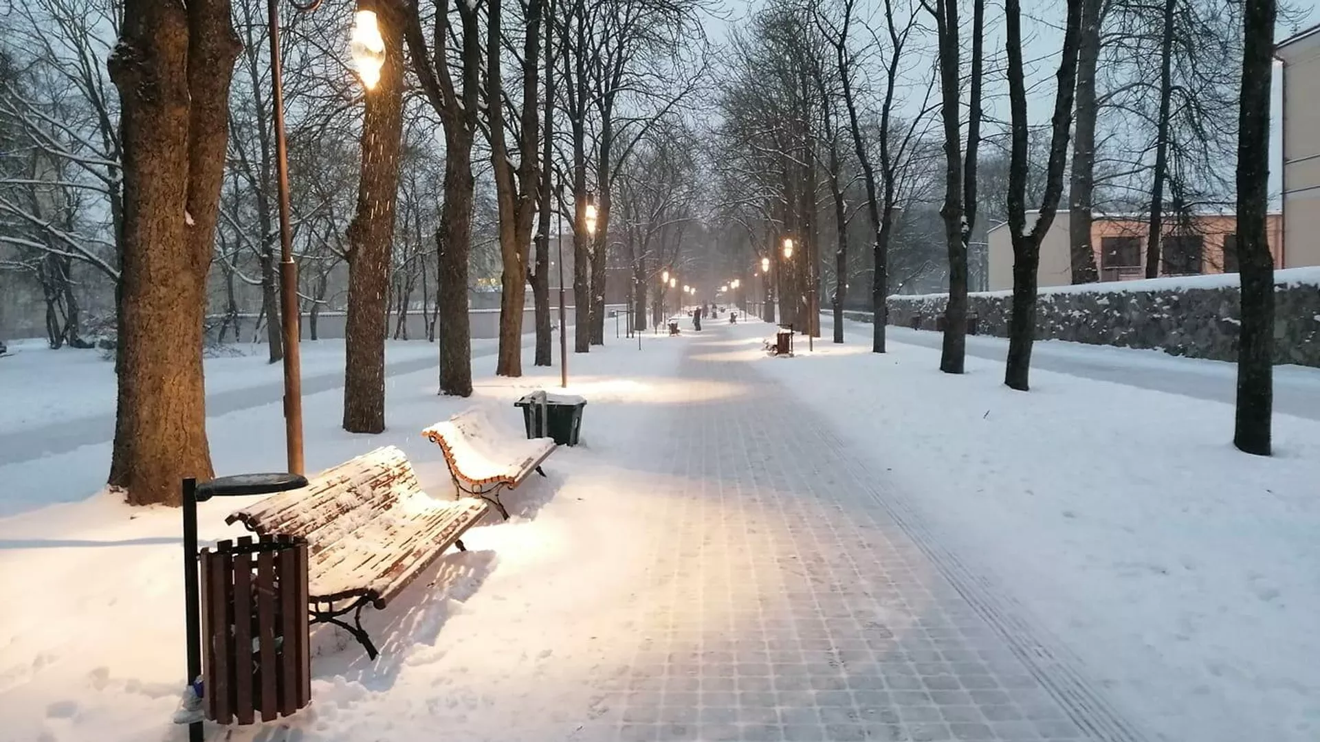 Šiauliai
