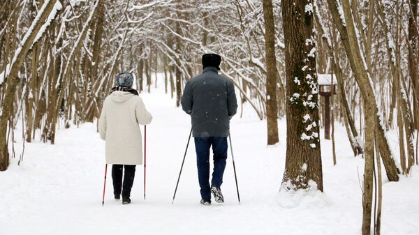 Пожилая пара на прогулке в заснеженном парке, архивное фото - Sputnik Литва