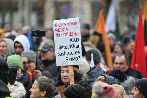 Užrašas ant plakato: &quot;Kiek ir kokių reikia dar raidžių, kad lietuviškai pasiųstume Seimą?&quot; - Sputnik Lietuva