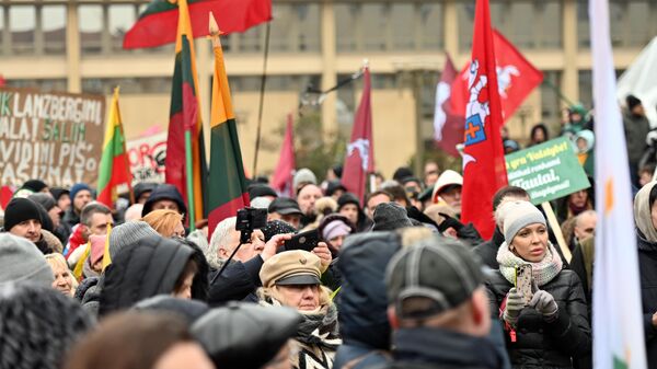 Митинг возле здания Сейма Литвы в Вильнюсе - Sputnik Lietuva