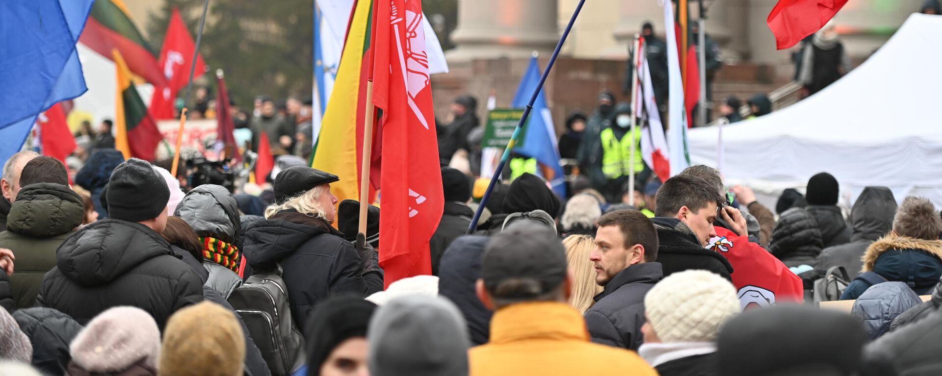 Митинг возле здания Сейма Литвы в Вильнюсе - Sputnik Литва, 1920, 25.01.2022