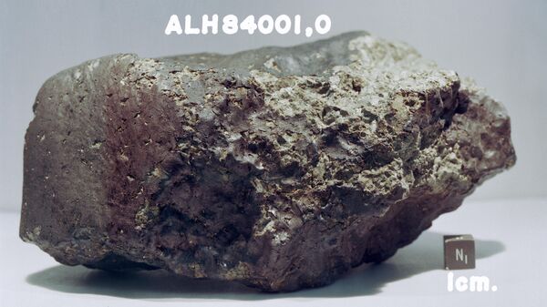 Meteoritas Allan Hills 84001 - Sputnik Lietuva