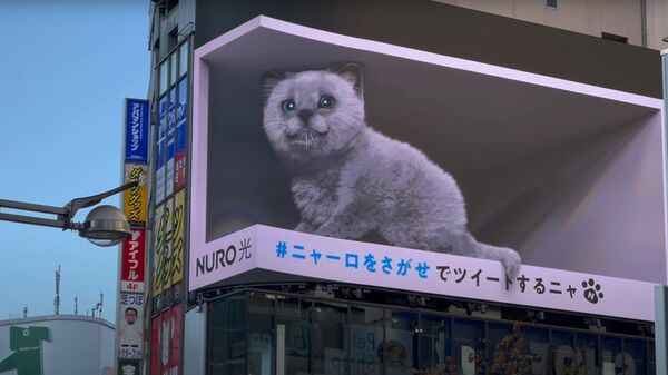Japonijos 3D reklama su kačiuku - Sputnik Lietuva