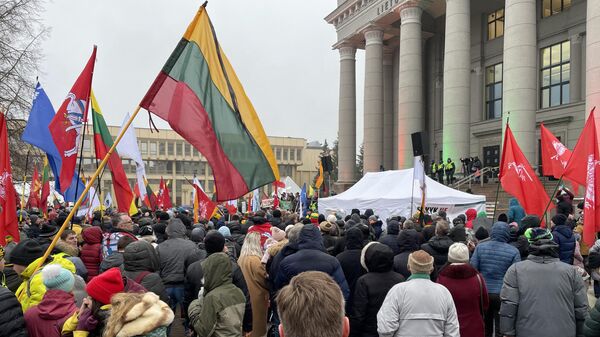 В Литве в День защитников свободы прошел митинг против властей - Sputnik Литва