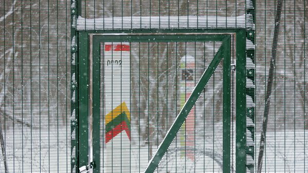 Забор и приграничные столбы на границе Литвы и Белоруссии - Sputnik Литва