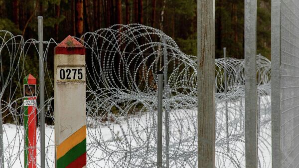 Забор и приграничные столбы на границе Литвы и Белоруссии - Sputnik Литва