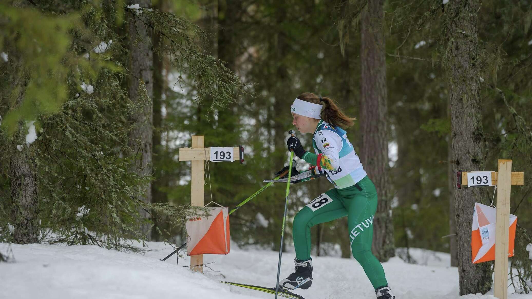 Спортивное ориентирование Чемпионат мира