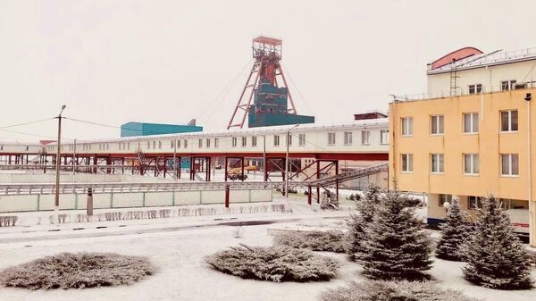 Здание завода производителя калийных минеральных удобрений ОАО Беларуськалий, архивное фото - Sputnik Литва