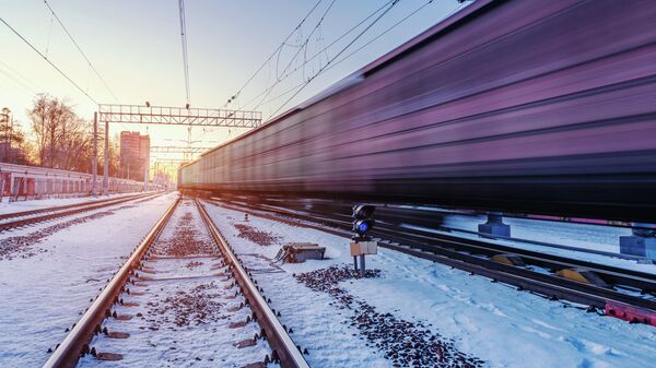Товарный поезд на железной дороге, архивное фото - Sputnik Литва