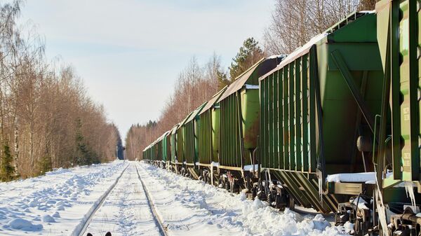 Krovininis traukinys geležinkelyje - Sputnik Lietuva
