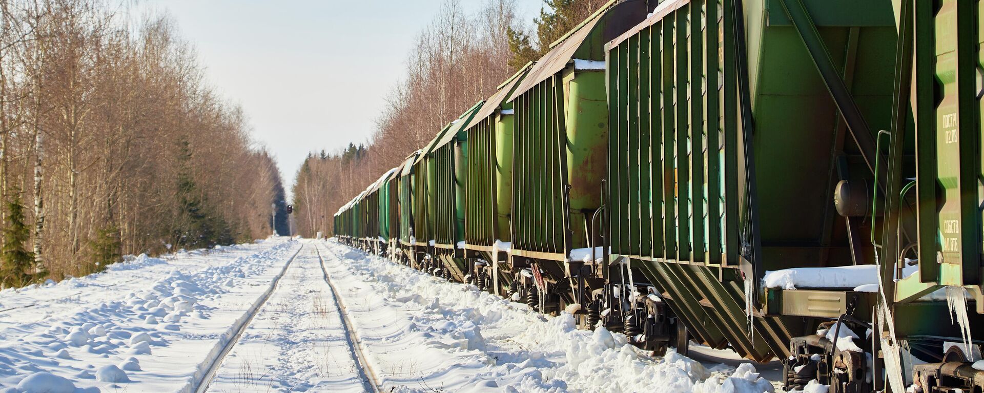 Товарный поезд на железной дороге, архивное фото - Sputnik Литва, 1920, 03.02.2022