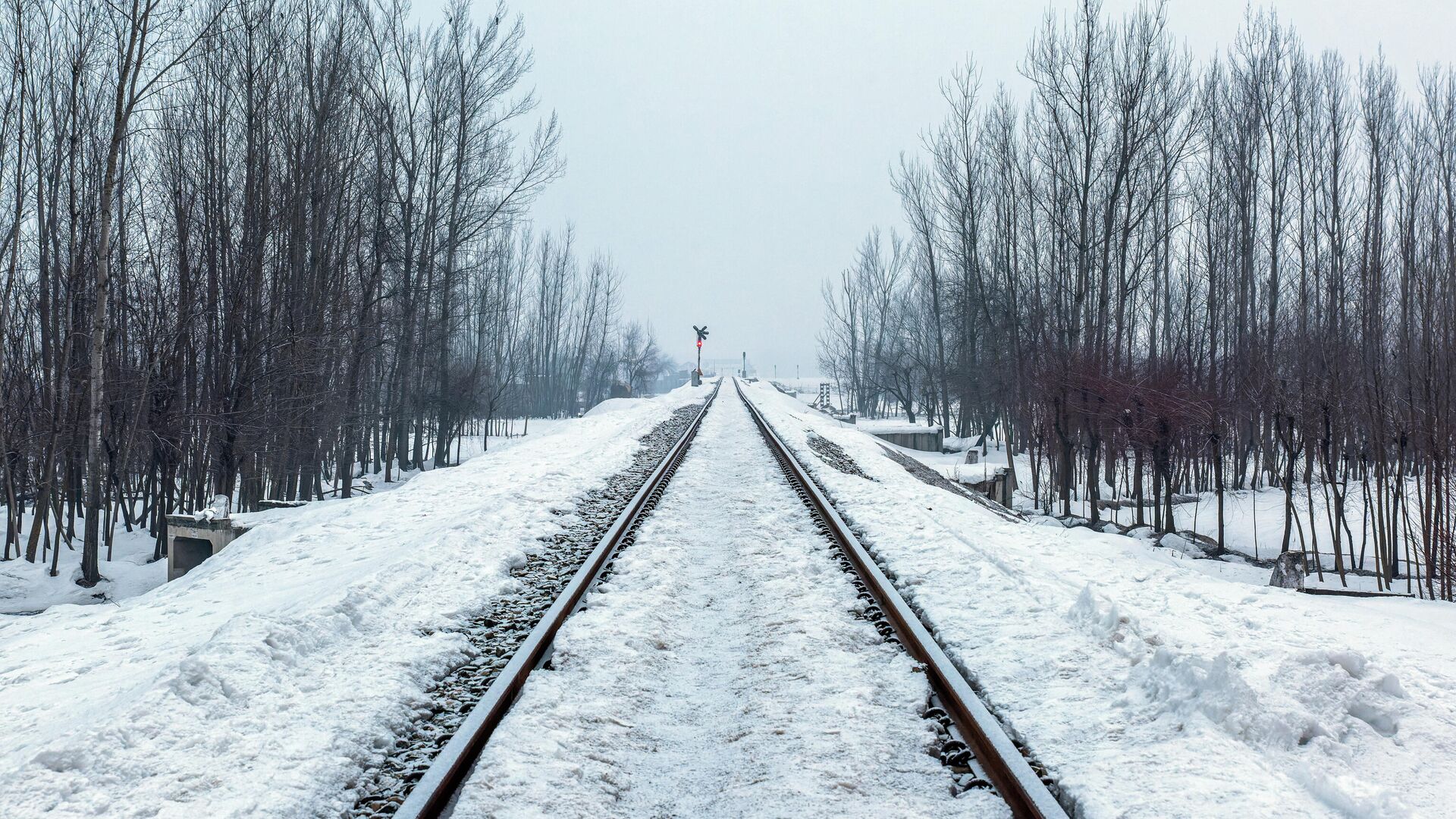 Железная дорога, архивное фото - Sputnik Литва, 1920, 04.02.2022