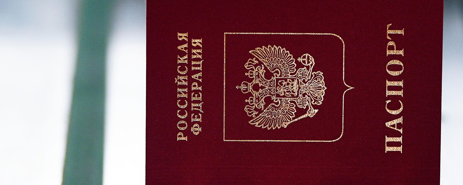 Российский паспорт, архивное фото - Sputnik Литва, 1920, 07.12.2023