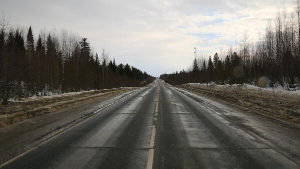 Растаявший снег на дороге, архивное фото - Sputnik Lietuva