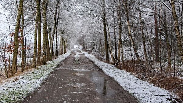 Растаявший снег на дороге, архивное фото - Sputnik Литва