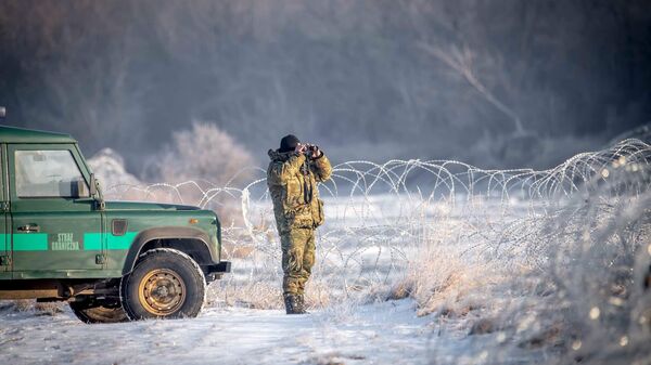 Польский пограничник на границе Польши и Белоруссии, архивное фото - Sputnik Литва
