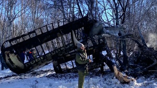Работа следователей на месте крушения самолета Ан-2 на Камчатке - Sputnik Lietuva