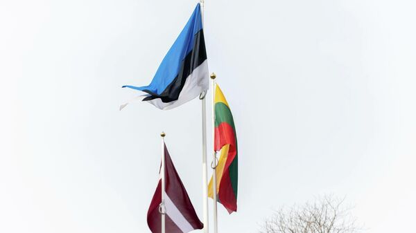 Флаги стран Балтии, архивное фото - Sputnik Литва