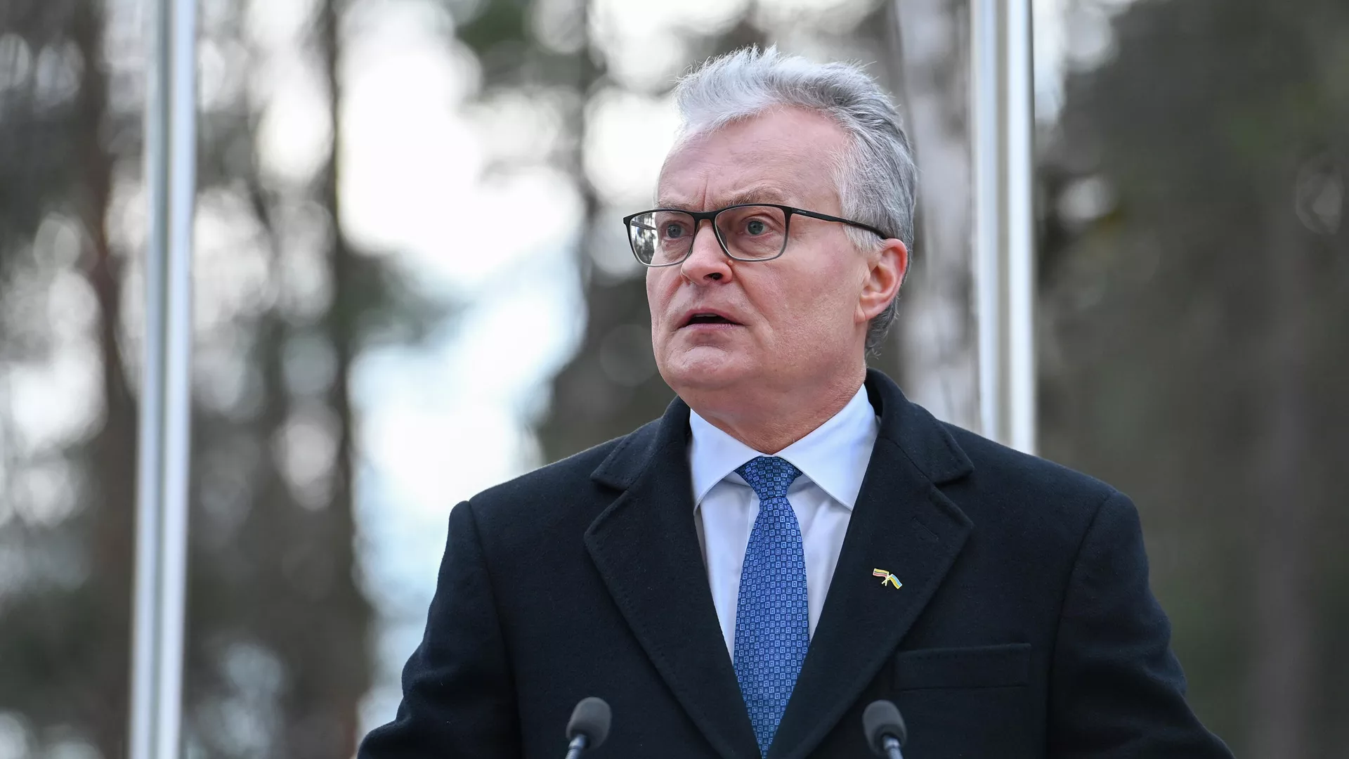 Президент Литвы Гитанас Науседа