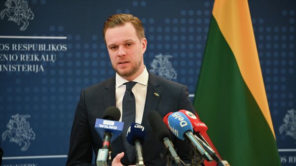 Lietuvos užsienio reikalų ministras Gabrielius Landsbergis - Sputnik Lietuva