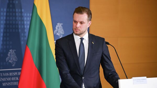 Министр иностранных дел Литвы Габриэлюс Ландсбергис - Sputnik Литва