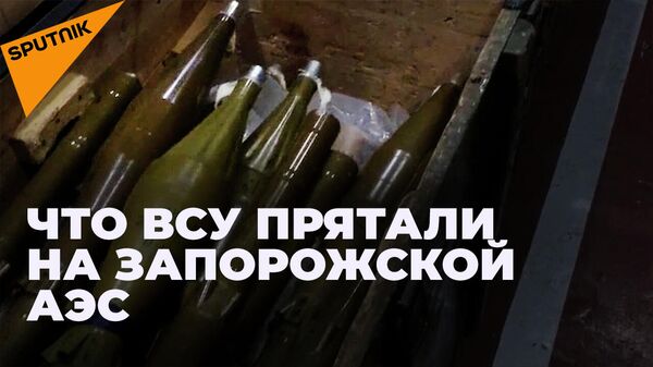 Оружие и боеприпасы: что бойцы Росгвардии обнаружили на Запорожской АЭС - Sputnik Литва