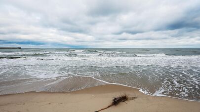 Береговая часть национального парка "Куршская коса", архивное фото