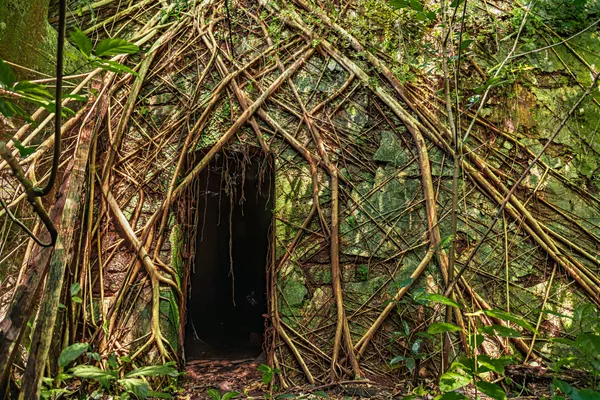 Amerikiečių fotografo Gautamo Kamat Bambolkar nufotografuotas apleistas namas, kuris laimėjo pirmąją vietą kategorijoje "Plants and fungi". Amerikiečių fotografo Gautamo Kamat Bambolkar nufotografuotas apleistas namas, kuris laimėjo pirmąją vietą kategorijoje "Plants and fungi". - Sputnik Lietuva