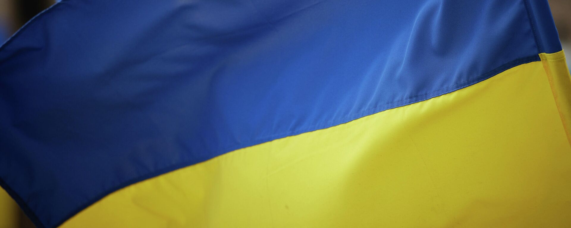 Ukrainos vėliava - Sputnik Lietuva, 1920, 11.03.2022
