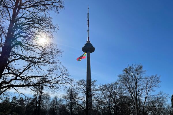 В Вильнюсе прошло несколько праздничных мероприятий. На фото: поднятый флаг Литвы на телевизионной башне. - Sputnik Литва
