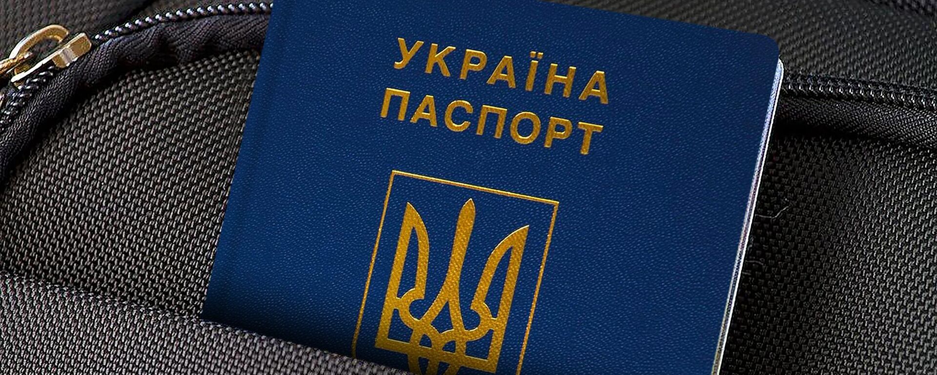 Украинский паспорт, архивное фото - Sputnik Литва, 1920, 29.05.2022