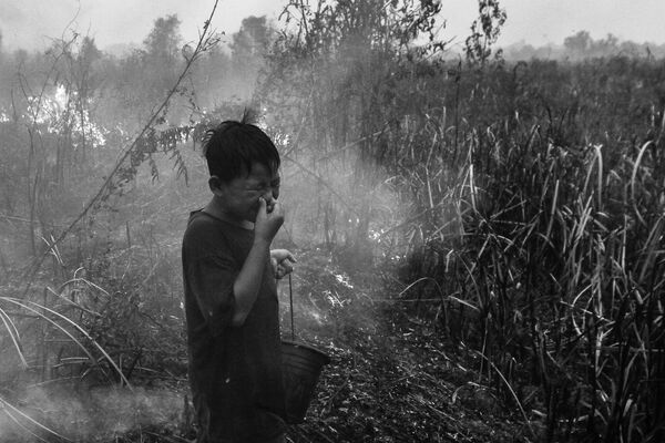 Indoneziečių fotografo Abriansyaho Liberto, &quot;World Press Photo Contest Regional&quot; nugalėtojo, nufotografuota migla. Berniukas reaguoja į dūmus iš durpyno gaisro Ogan Ilire, Pietų Sumatroje, Indonezijoje, 10 d. 2015 m. rugsėjo mėn. - Sputnik Lietuva