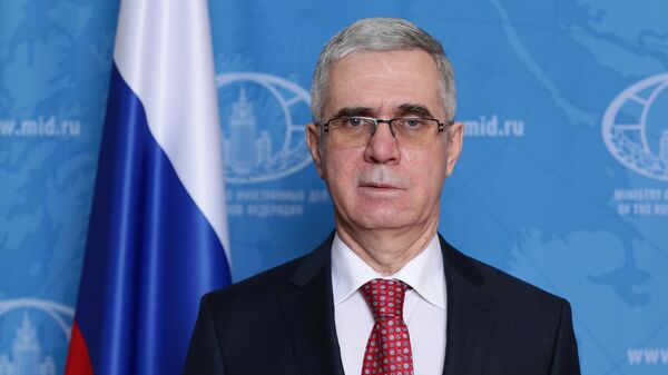 Rusijos Federacijos nepaprastasis ir įgaliotasis ambasadorius Estijoje Vladimiras Lipajevas - Sputnik Lietuva
