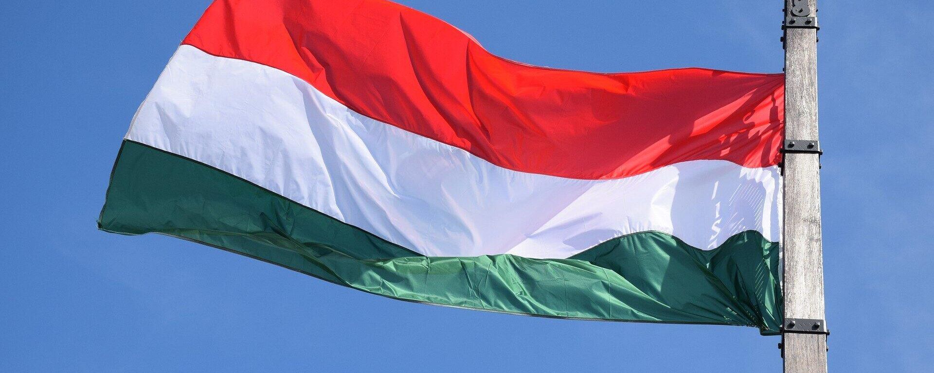 Флаг Венгрии, архивное фото - Sputnik Литва, 1920, 21.05.2022