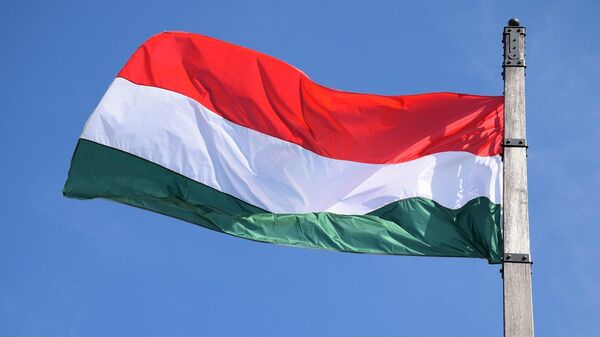 Флаг Венгрии, архивное фото - Sputnik Литва