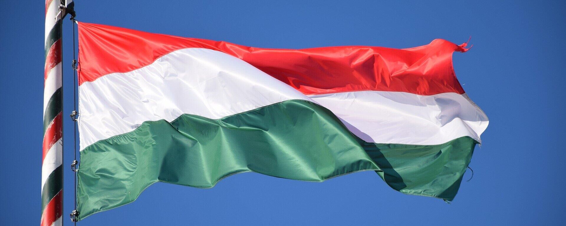 Флаг Венгрии, архивное фото - Sputnik Литва, 1920, 12.02.2023