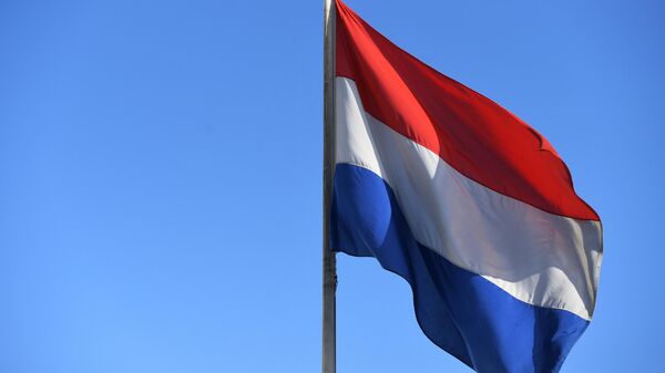 Государственный флаг Нидерландов, архивное фото - Sputnik Литва