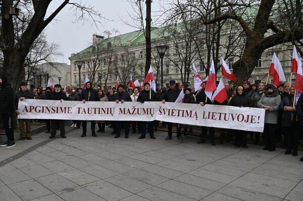 На растяжке написано: &quot;Мы будем защищать образование национальных меньшинств в Литве&quot;. - Sputnik Литва